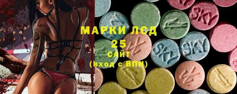 даркнет сайт  Новозыбков  LSD-25 экстази кислота 